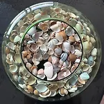 With Beautiful View, Private Parking And Two Large Terraces 公寓 奥斯滕德