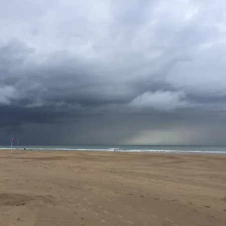 公寓 With Beautiful View, Private Parking And Two Large Terraces 奥斯滕德