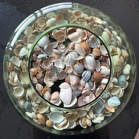 With Beautiful View, Private Parking And Two Large Terraces Apartament Ostenda