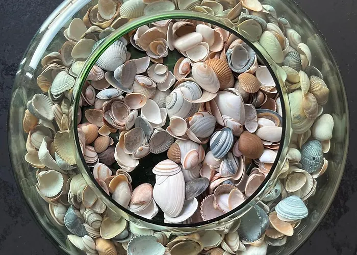 With Beautiful View, Private Parking And Two Large Terraces Appartement Oostende